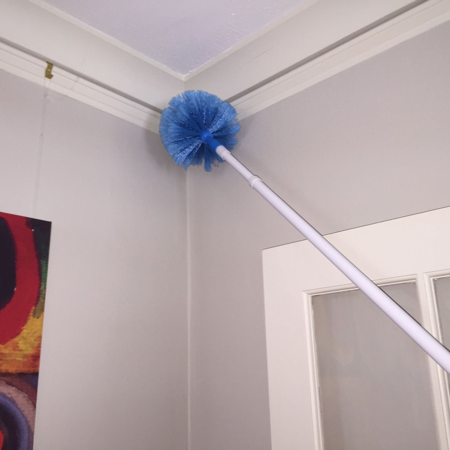 FILTA COBWEB BRUSH WITH EXTENDABLE HANDLE